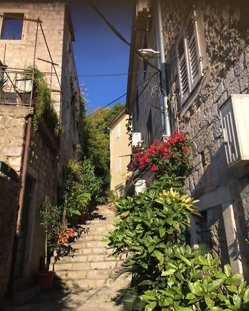 Apartment Simo Herceg Novi Exterior foto