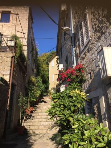 Apartment Simo Herceg Novi Exterior foto