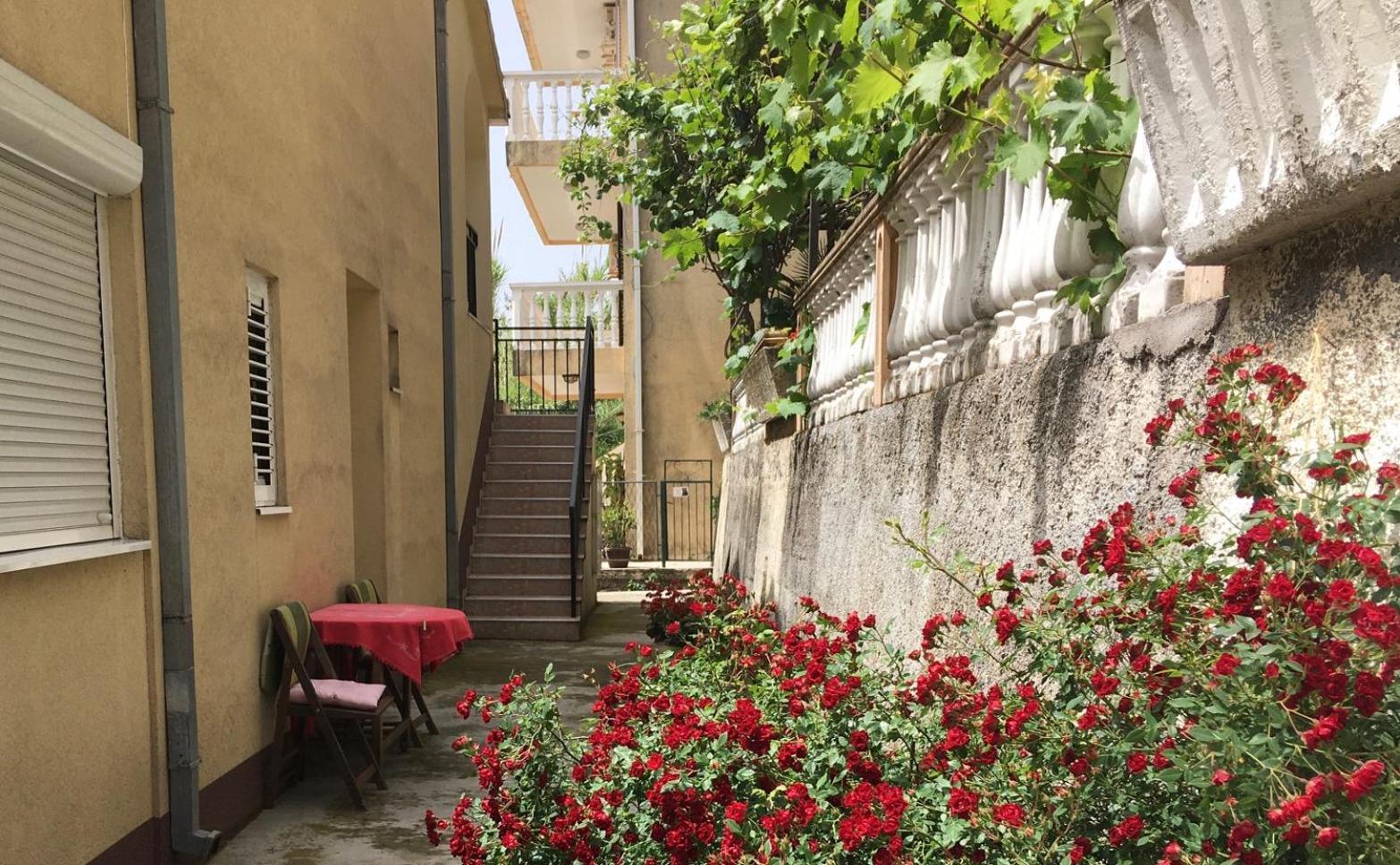 Apartment Simo Herceg Novi Exterior foto